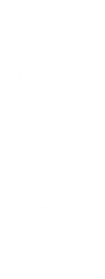 Leaf Png